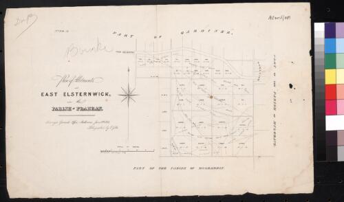 Plan of allotments at East Elsternwick in the Parish of Prahran [cartographic material] / Thos. Couchman Assist. Surveyor; lithographed by E. Gilks