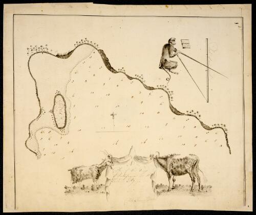 A plan of the Bay of Porto Praja in the Island St. Jago [cartographic material] / Peter Fannin delin