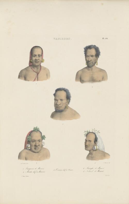 [Portraits of five inhabitants of Vanikoro] picture] / de Sainson pinx.; A. Maurin del