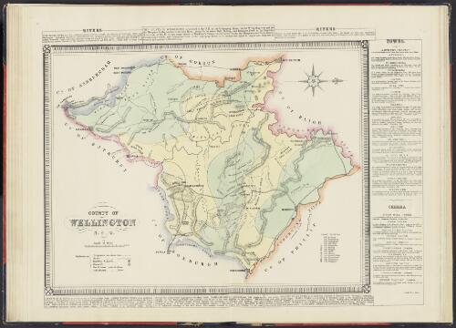 County of Wellington, N.S.W. [cartographic material]