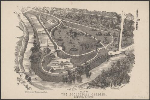 Plan of the Zoological Gardens, Richmond Paddock [cartographic material] / F. Grosse