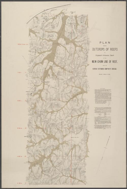 Plan showing outcrops of reefs on supposed extension south of the New Chum line of reef [cartographic material] : from the Eureka Extended Company's ground / surveyed by Norman Taylor