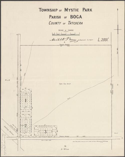 Township of Mystic Park, Parish of Boga, County of Tatchera [cartographic material] / photo-lithographed at the Department of Lands and Survey Melbourne by T.F. McGauran 10.2.93
