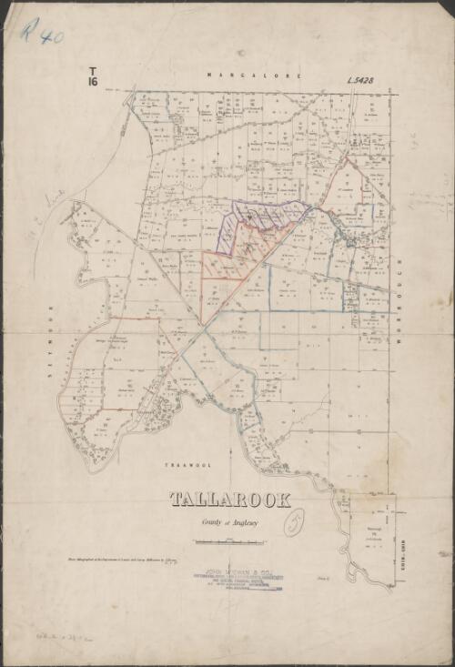 [Parish maps of Victoria]. Tallarook, County of Anglesey [cartographic material] / photo-lithographed at the Department of Lands and Survey, Melbourne by J. Noone