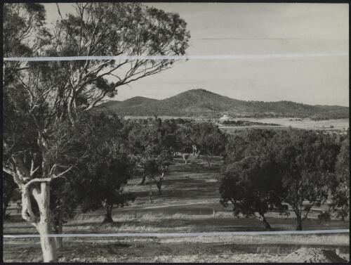 The Australian War Memorial and Mt Ainslie at a distance, Canberra, approximately 1955