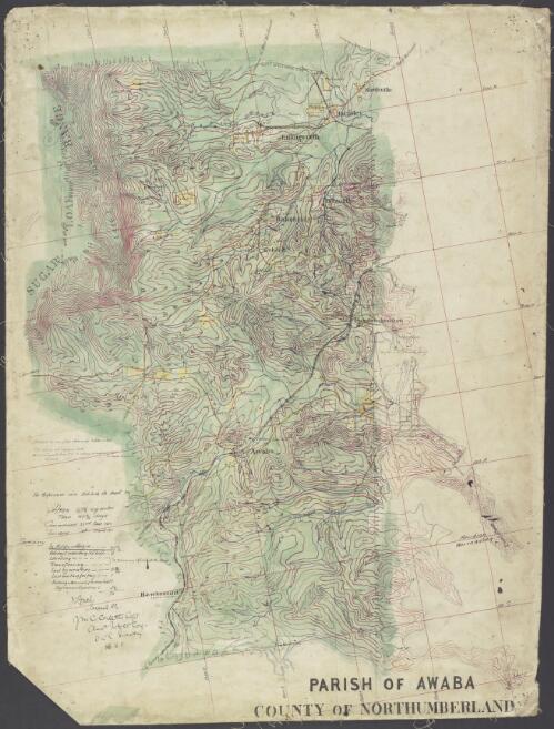 Parish of Awaba, County of Northumberland [cartographic material] / [Australian Survey Corps]