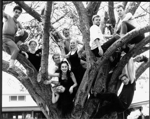Members of the Human Veins Dance Theatre, photographed in a tree at Gorman House, Canberra, 1988 [picture]