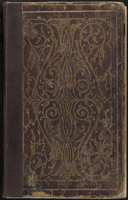 Diary of Robert Silby Bradley, 1867 April 22-July 22 [manuscript]