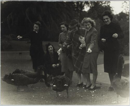 Portrait of six members of the Bodenwieser Ballet, feeding swans in a Melbourne park, 1939 [picture]