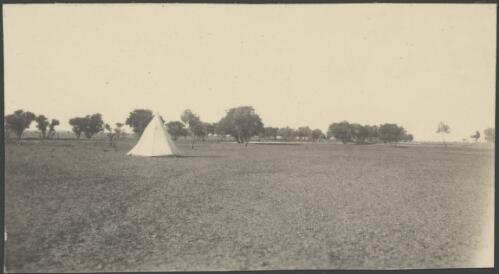 Tent pitched at Miranda Head Station, South Australia, June 1914, 3 / Alexander Lorimer Kennedy