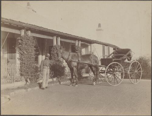 Man with a single horse-drawn buggy, Horsley, New South Wales, approximately 1900 / Henry King