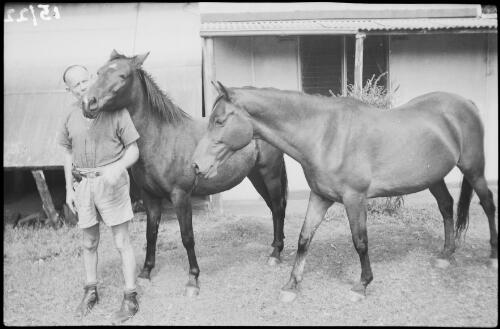 A man with two horses outside Dummer House, Terrigal, New South Wales, 1945 / Michael Terry