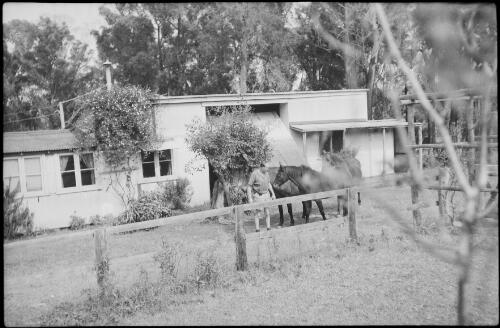 A man beside three horses outside of Dummer House, Terrigal, New South Wales, 1945 / Michael Terry
