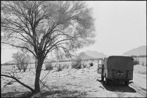 Mount Liebig, MacDonnell Ranges, Northern Territory, May 1961, 2 / Michael Terry