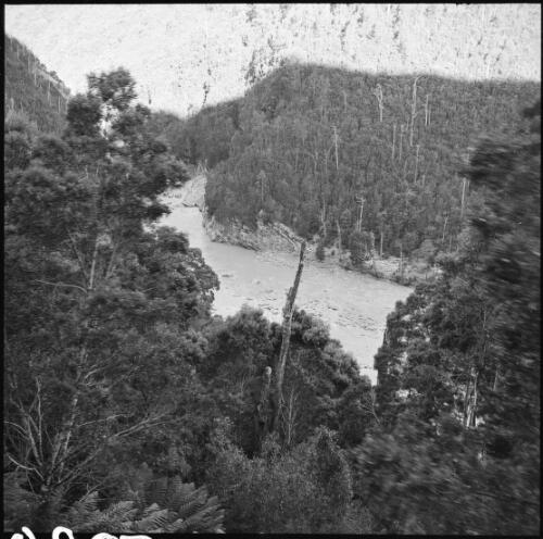 King River gorge, Queenstown region, Tasmania, 1961 / Michael Terry