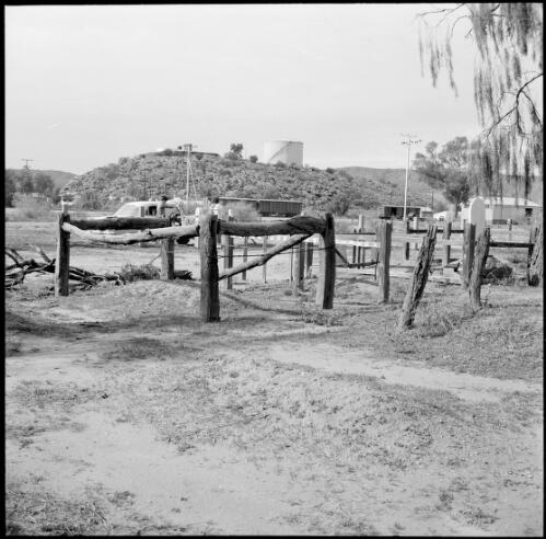 Old Stuart Town Memorial Cemetery, Alice Springs, Northern Territory, 1961 / Michael Terry