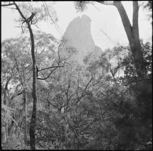 Belougery Spire from Mount Hurley, Warrumbungle National Park, New South Wales, September 1962 / Michael Terry
