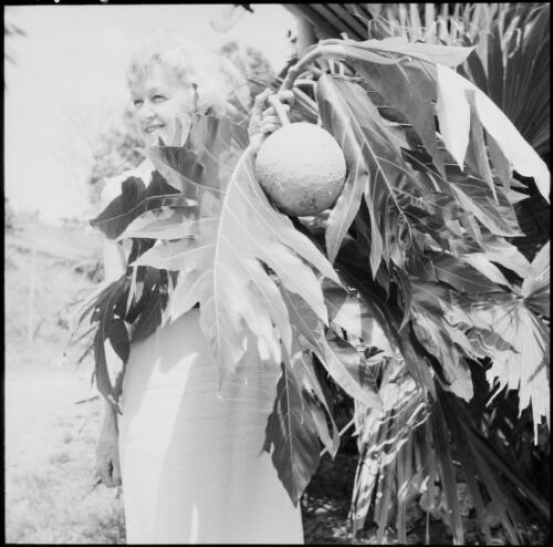 Woman holding a branch of a breadfruit tree, Fiji, 1966 / Michael Terry
