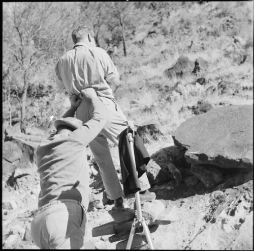 A man taking a photograph of a rock carving, Northern Territory, 1967 / Michael Terry