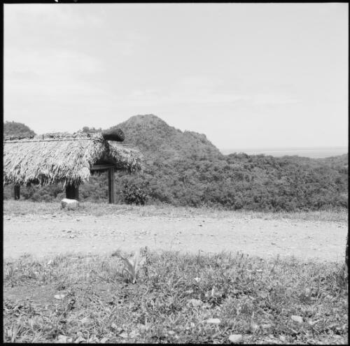 Navua region, Fiji, 1966 / Michael Terry