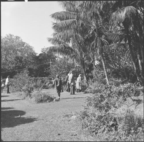 Visitors in a garden, Norfolk Island, 1964 / Michael Terry
