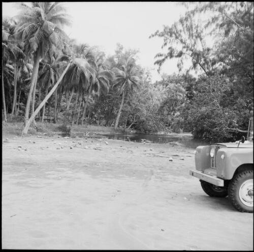 A jeep parked near estuary with palm trees, Vanuatu, 1969 / Michael Terry
