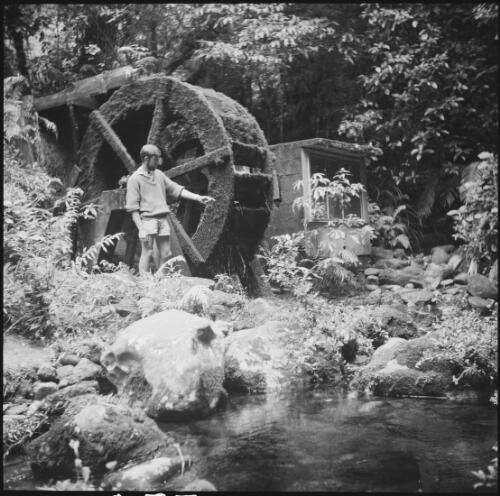 Man standing beside a water wheel, New Zealand, 1969 / Michael Terry