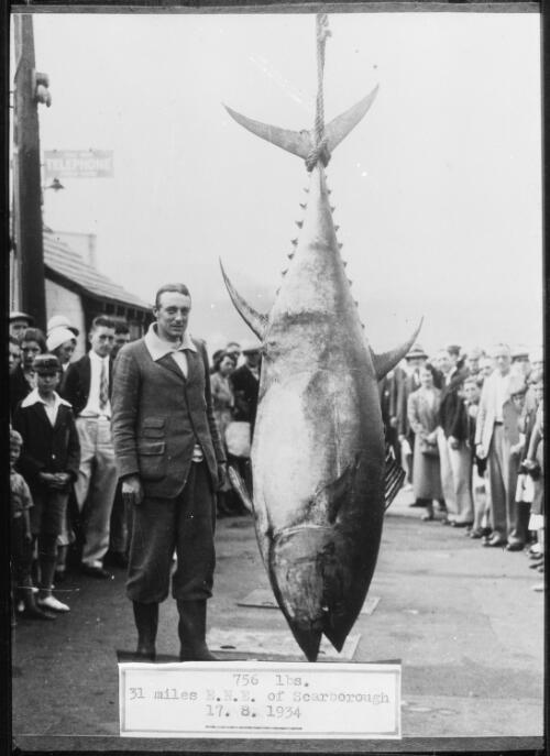 Man standing next to a 756 pound tuna, surrounded by a crowd, England, 1934 / Michael Terry