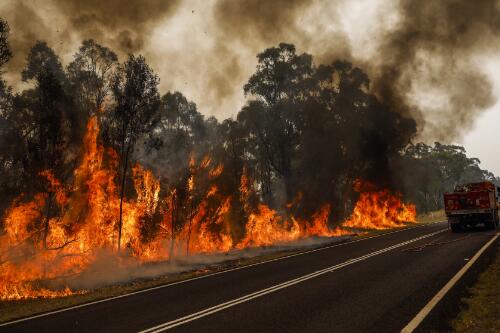 Bushfires in Cobargo, Braidwood, Eden and Bega, New South Wales, 2019-2020 / Sean Davey