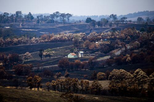 Aftermath of the bushfires, landscape view of Chris Post's rural prorperty, Upper Brogo Road, Verona, New South Wales, 10 January 2020 / Sean Davey