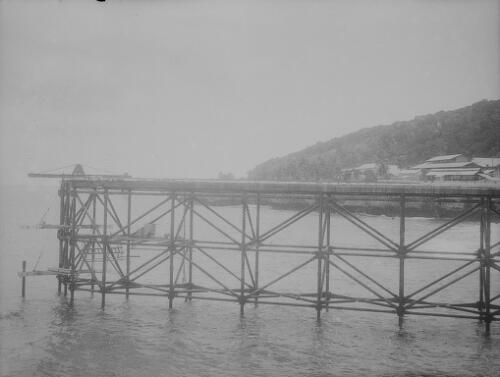 Christmas Island Phosphate Company pier under construction, Christmas Island, approximately 1902, 1