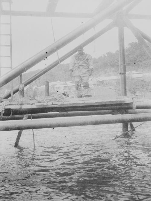 Construction worker at the Christmas Island Phosphate Company pier, Christmas Island, approximately 1902