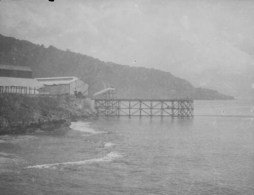 Crane at the Christmas Island Phosphate Company pier construction, Christmas Island, approximately 1902, 3