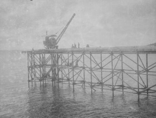 Workmen and crane during the construction of Christmas Island Phosphate Company pier, Christmas Island, approximately 1902, 16