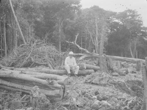 A man sitting on a felled tree trunk in a clearing, Christmas Island, approximately 1927