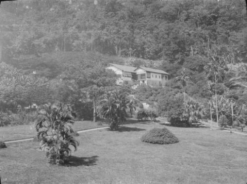 House among trees, Christmas Island, approximately 1927