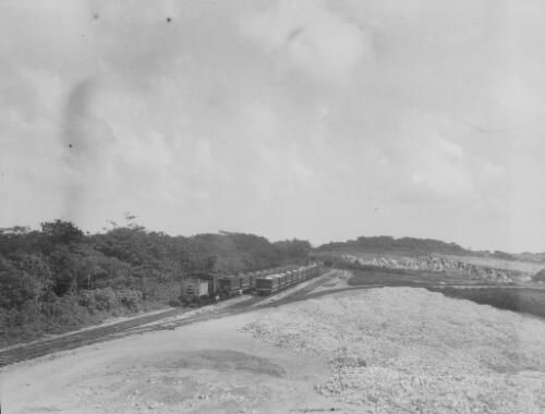 Railway hopper wagons lined up at Christmas Island Phosphate Company mine, Christmas Island, approximately 1927, 1