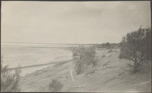 View of shoreline, South Australia, 1914 / Alexander Lorimer Kennedy