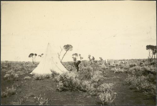 Tent pitched at magnetic station, Tarcoola, South Australia, September 1914, 1 / Alexander Lorimer Kennedy
