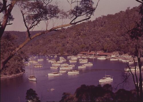 View looking down on to Bobbin Head, North Turramurra, New South Wales, approximately 1955 / Frank Hurley