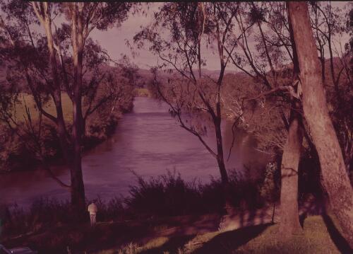 Goulburn River near Yea, Victoria, approximately 1955 / Frank Hurley