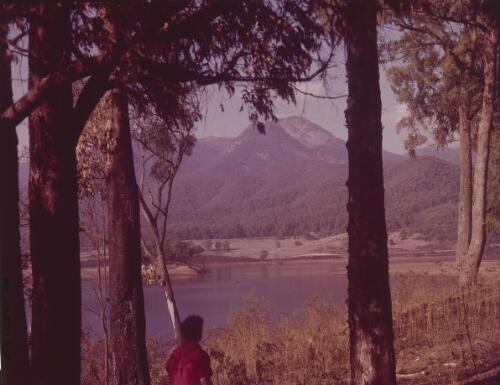 Looking across Lake Buffalo towards Mount Buffalo, Myrtleford region, Victoria, approximately 1960 / Adelie Hurley