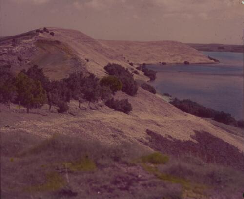 Tower Hill crater lake, near Warrnambool, Victoria, approximately 1960 / Adelie Hurley