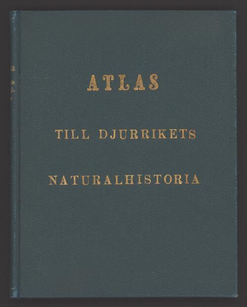 Atlas till Djurrikets Naturalhistoria : för skolan och hemmet / efter Traugott Bromme