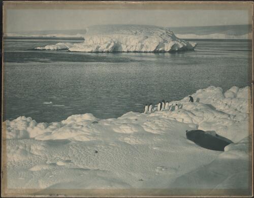 An ice capped islet / Frank Hurley