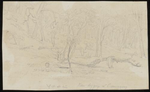 New diggings at Buninyong, Ballarat, Victoria, approximately 1853 / Henry Winkles