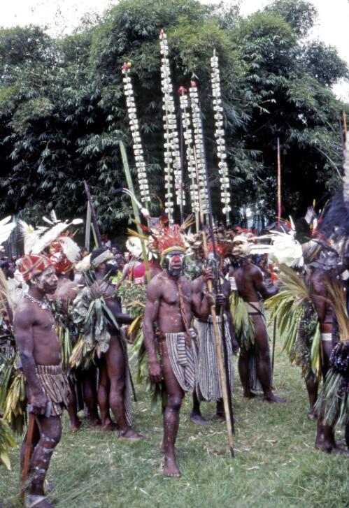 Villagers at a wedding holding poles decorated with bank notes, Papua New Guinea, approximately 1968 / Robin Smith