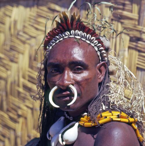 Genetei warrior from the Wonenara sub-district, Papua New Guinea, approximately 1968 / Robin Smith