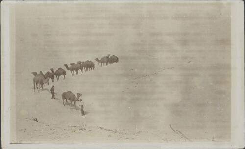Camel party travelling across sand dunes near Eucla, Western Australia, October 1914 / Alexander Lorimer Kennedy