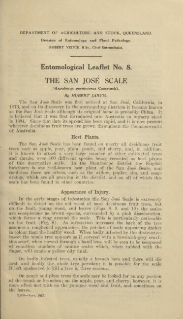 San Jose Scales on Apple Trees